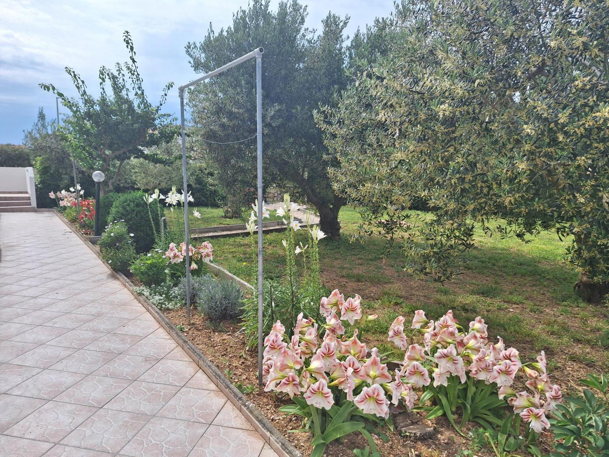 Apartments Donadic I, Caska Novalja Exteriör bild
